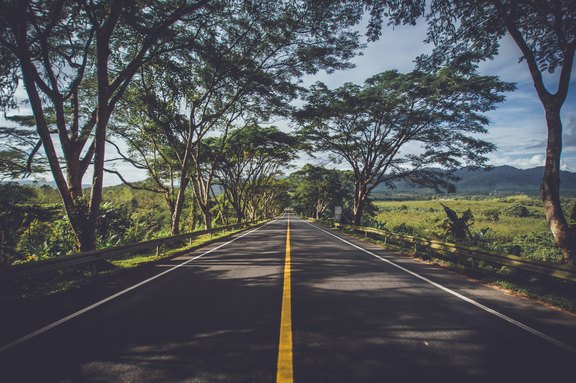 Eine Straße mit gelben Mittelstreifen mit Bäumen am Straßenrand